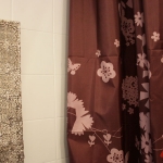 salle de bain : miroir et rideau de douche